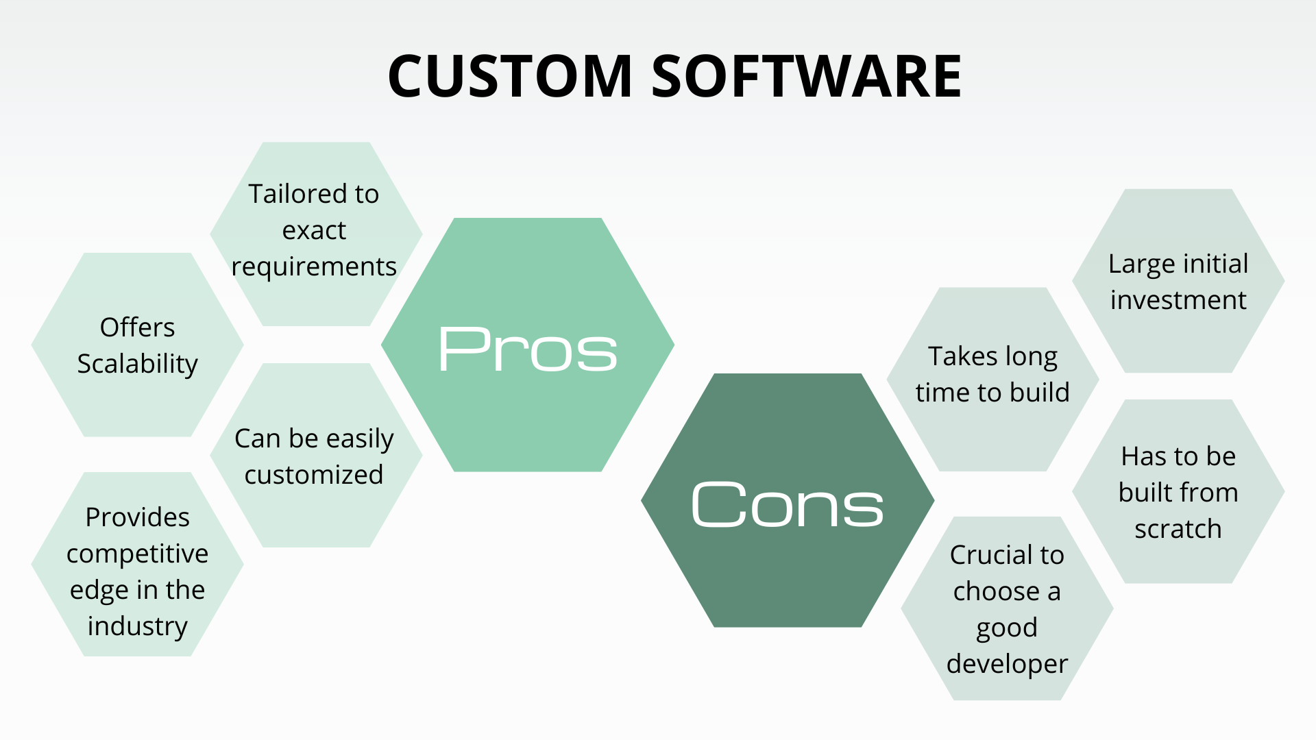 Pros and Cons of Custom Software